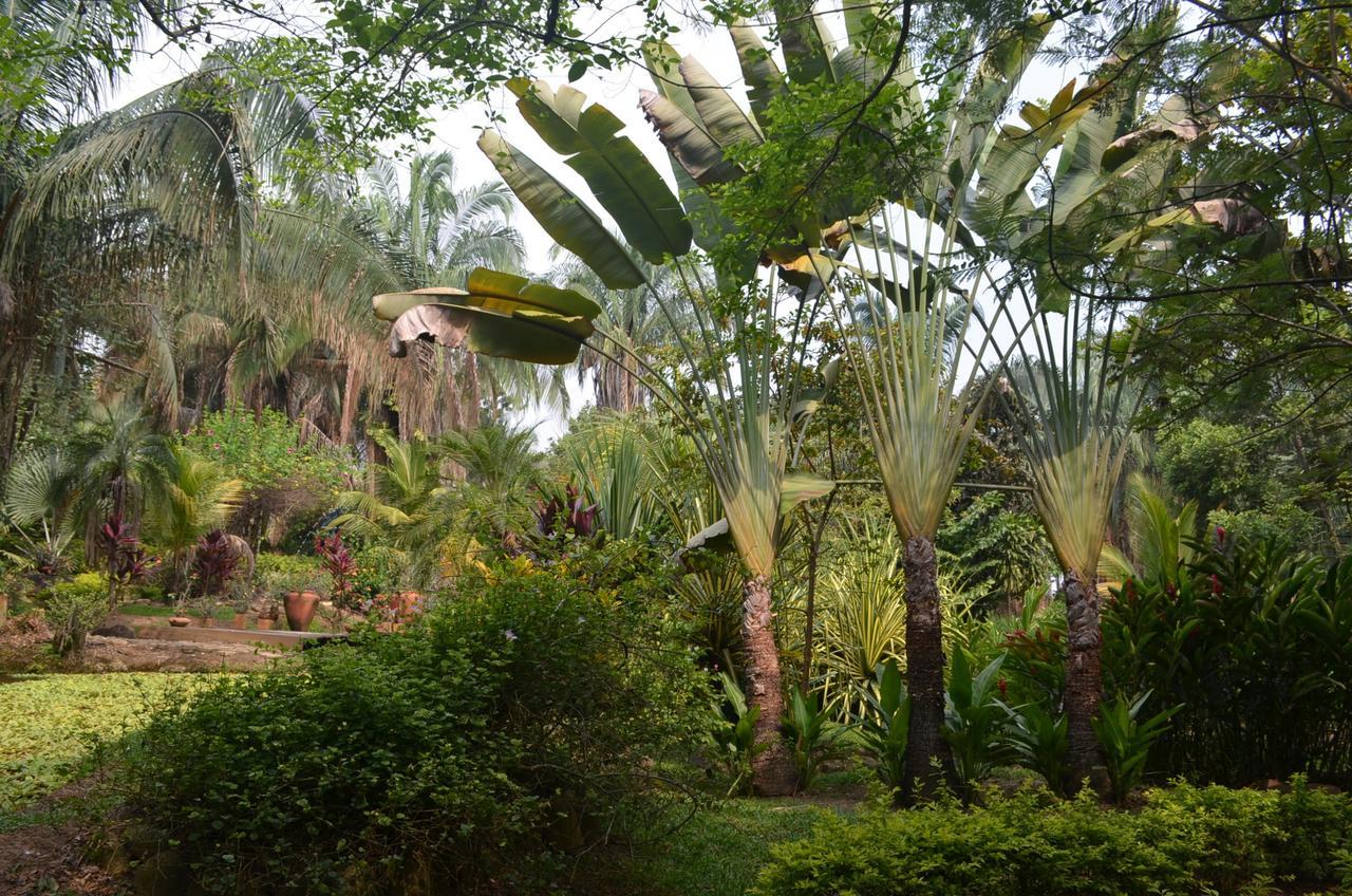 Amanwana Ecofinca Hotel Melgar Exterior photo