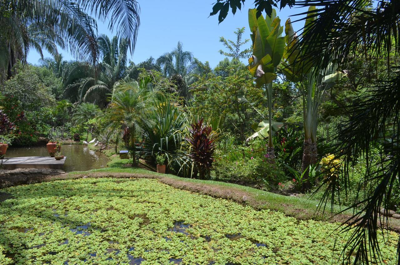 Amanwana Ecofinca Hotel Melgar Exterior photo