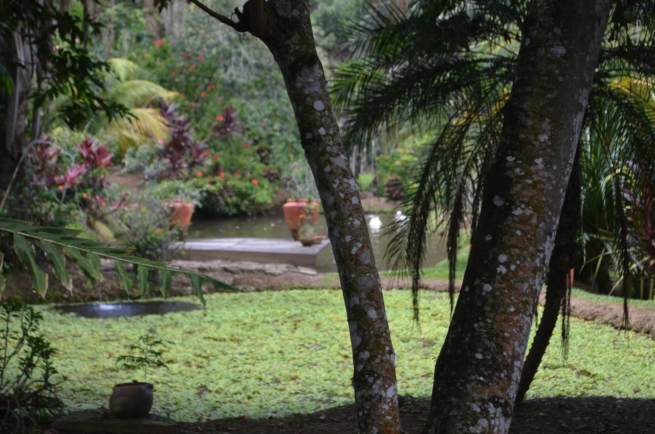 Amanwana Ecofinca Hotel Melgar Exterior photo