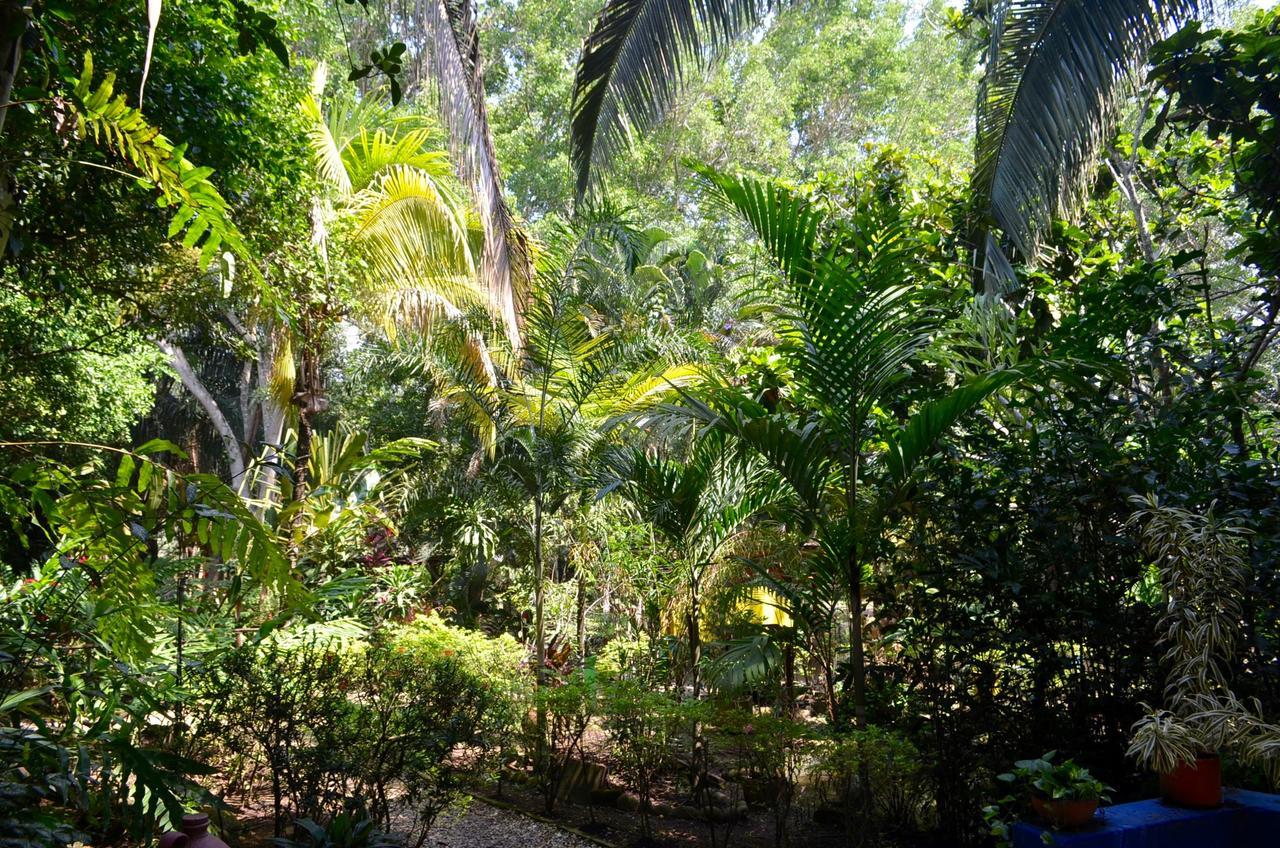 Amanwana Ecofinca Hotel Melgar Exterior photo